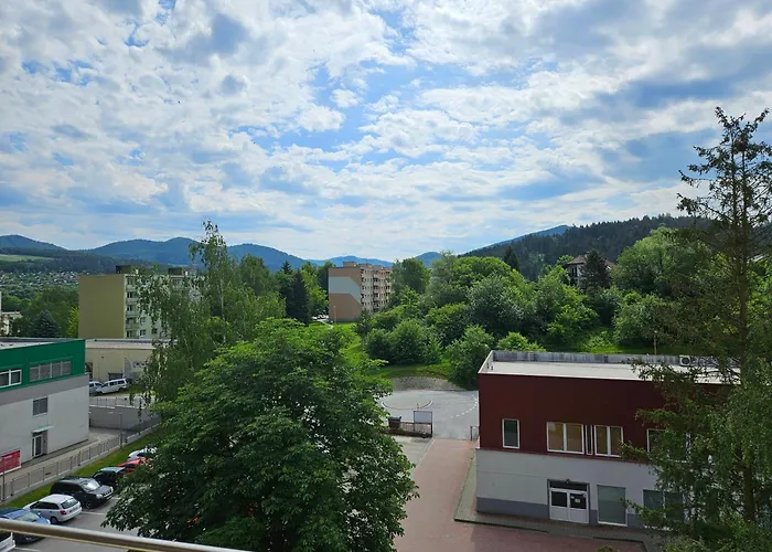 Wolf Apartman Pokojne Ubytovanie V Povazskej Bystrici Ticha Lokalita S Parkovanim Vsade Blizko Vhodne Pre Pracovne Cesty Turistiku Aj Oddych Plne Vybavena Kuchyna