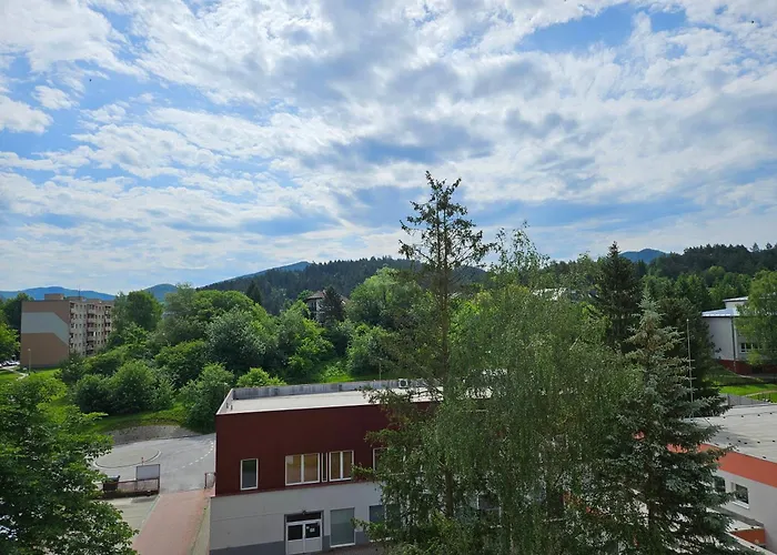 Wolf Apartman Pokojne Ubytovanie V Povazskej Bystrici Ticha Lokalita S Parkovanim Vsade Blizko Vhodne Pre Pracovne Cesty Turistiku Aj Oddych Plne Vybavena Kuchyna